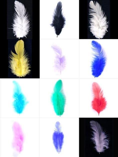 Feathers Hen - Full Colour Range
