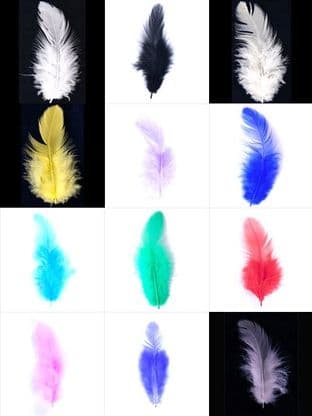 Feathers: Hen - Full Colour Range