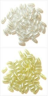 Pearls: Oval: 3 x 6mm: - Full Colour Range