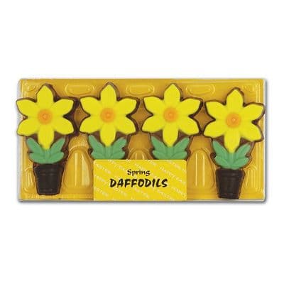Chocolate Daffodils