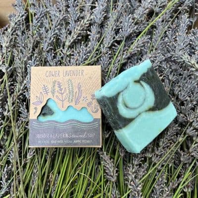Gower Lavender - Lavender and Laver Seaweed Soap