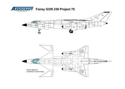 Fairey Tactical Strike Aircraft GOR.339 Project 75 'Lo-viz'