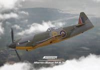 MARTIN BAKER MB.3b BUBBLE TOP (1/48)