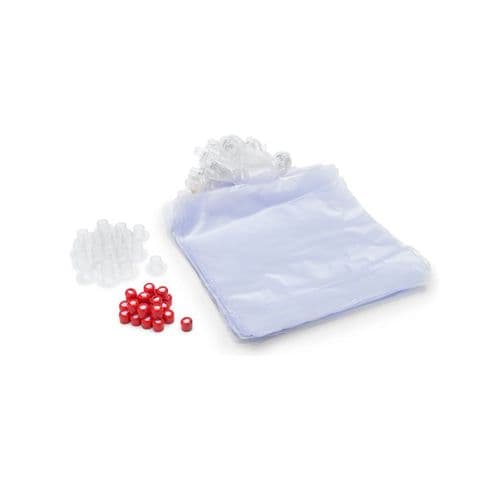 Brad/Paul/Female Airway Lung Pk 24