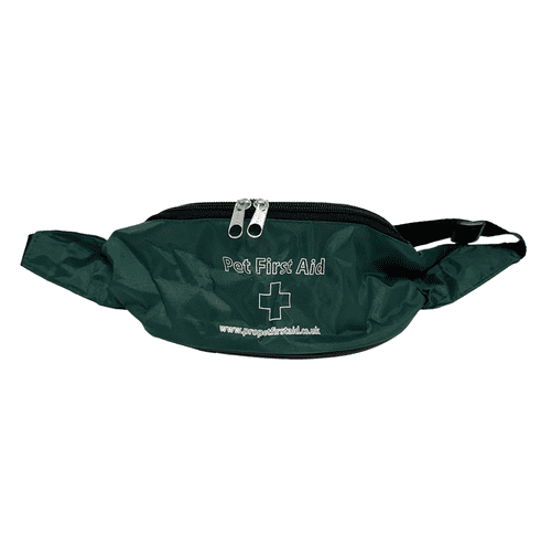 Bum Bag Green Small - Pet First Aid