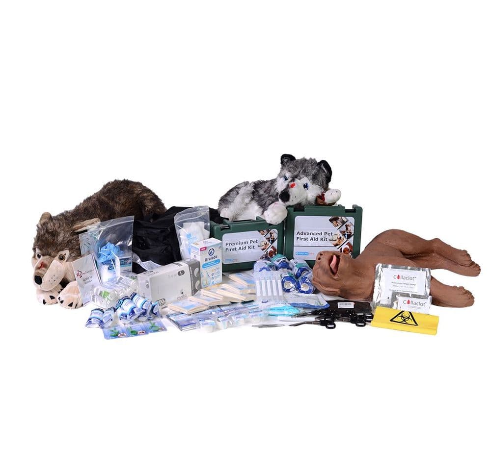 Pet First Aid Plus Recomended Instructor Kit