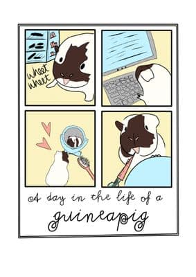 A Day In The Life Of A Guineapig