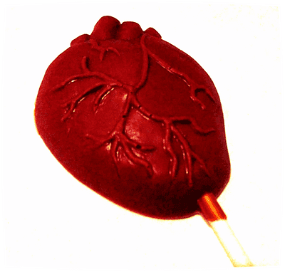 Anatomical Heart 30g