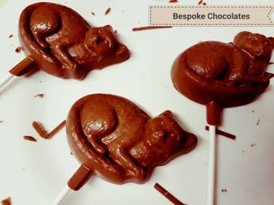 Cat shaped chocolate gifts