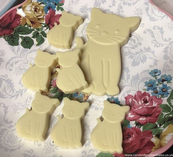Chocolate Cat & Kittens