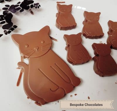 Chocolate Cat & Kittens