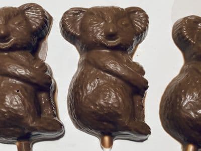 Chocolate Koala 🐨