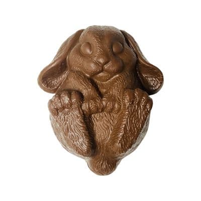 Chocolate Rabbit 🐇