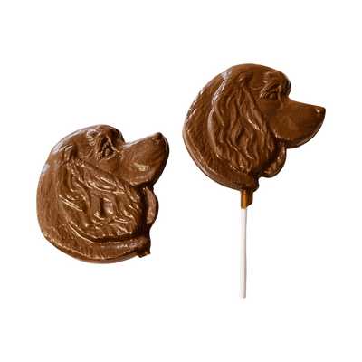 Chocolate Spaniel Dog