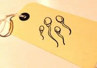 Chocolate Sperm