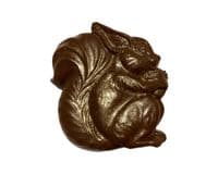 Chocolate Squirrel