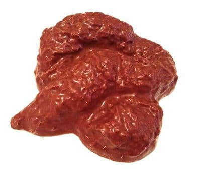 Chocolate Turd Poop