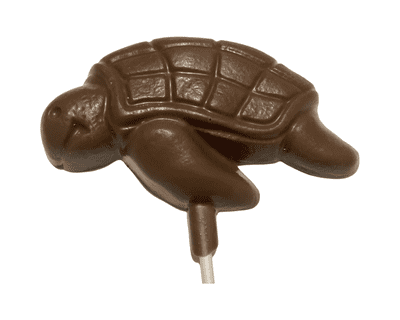 Chocolate Turtle Lolly 🐢