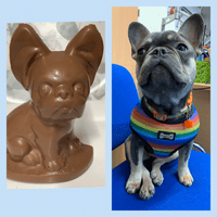Novelty Chocolate French Bulldog Gift
