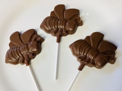 Honey Bee Lolly