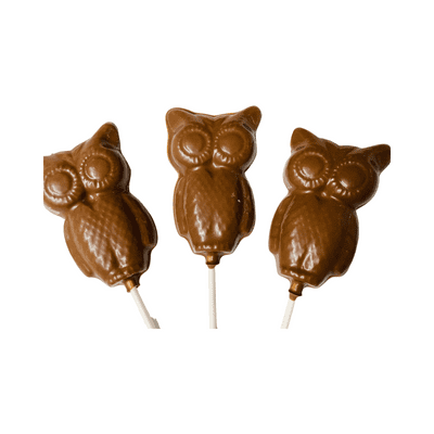 Owl Lollipop 🦉 25g