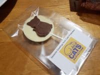 Round Cat Lolly