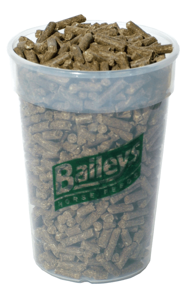 Baileys No 19 Performance Balancer 20 Kg