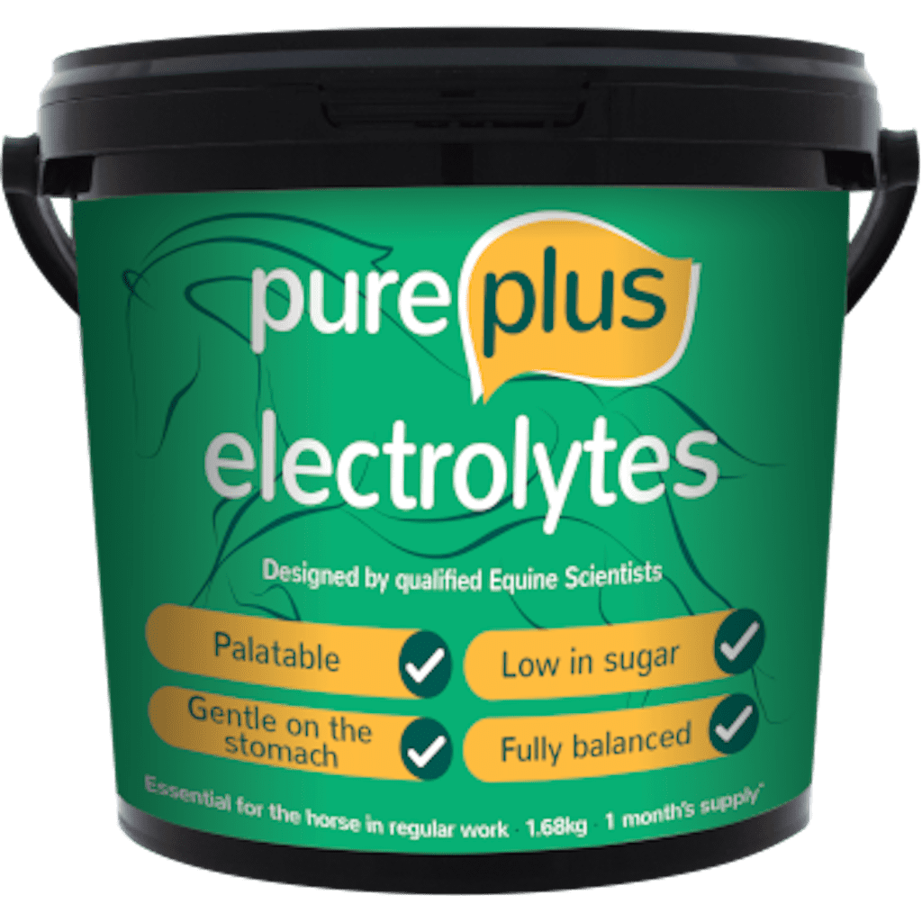 Pure Supplements Electrolytes 1 15 Kg pure-supplements-electrolytes-1-15-kg