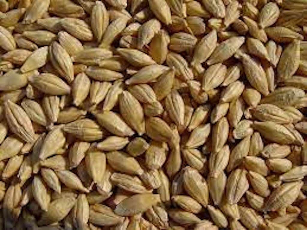 Whole Barley 20Kg