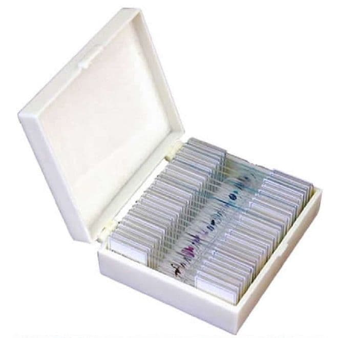 25 Piece Microscope Slide Set