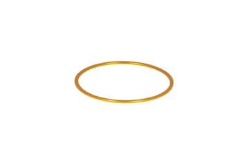 Baader M48 Fine-Adjustment Spacer ring 1mm (gold) - Aluminium