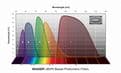 Baader UBVRI Bessel I-Filter  photometric