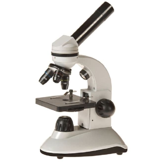Scholaris-400 LED Biological/Inspection Microscope