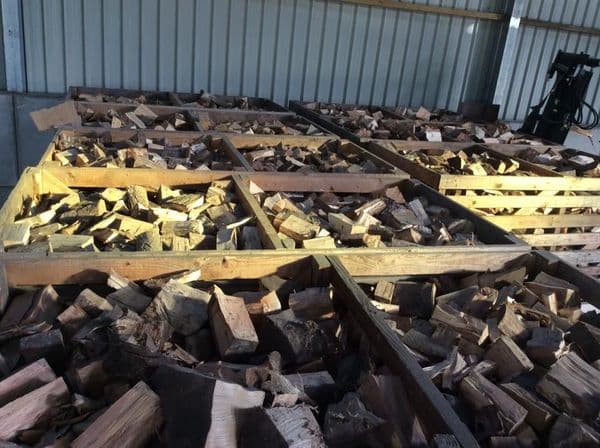Kiln Dried Logs - Net Bag