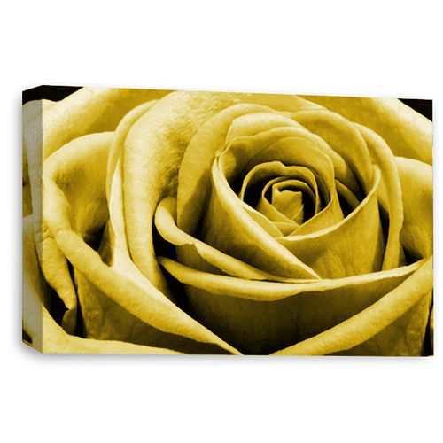 Floral Wall Art Print Mustard Grey Rose Flower Framed Canvas Picture Ready to Hang