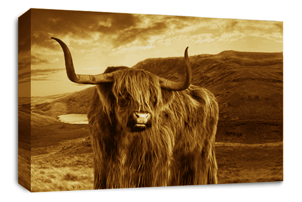 Highland Cow Stag Wall Art Scottish Animal Canvas Picture Print Brown Cream