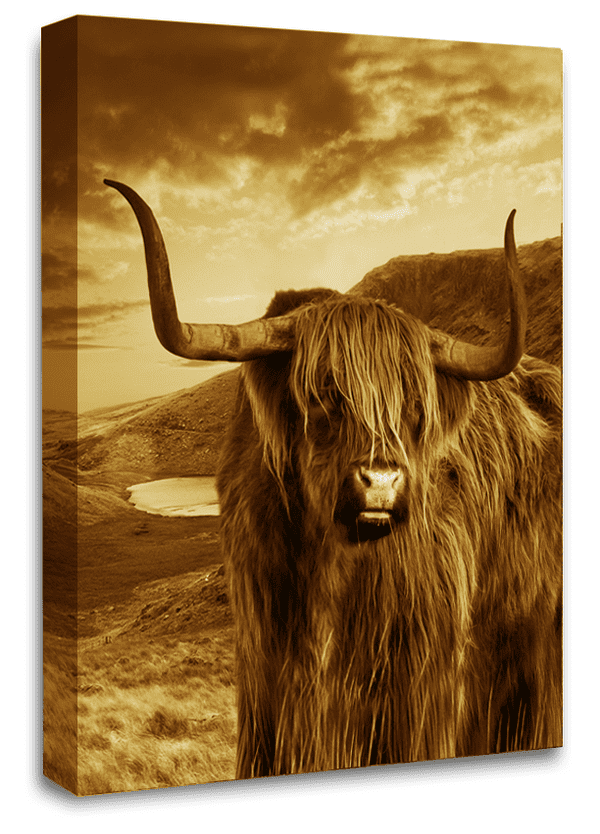 Highland Cow Stag Wall Art Scottish Animal Canvas Picture Print Cream Brown
