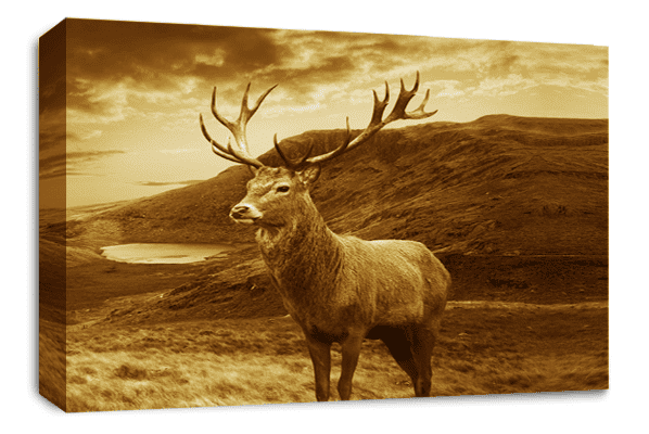 Highland Stag Wall Art Scottish Animal Canvas Picture Print Brown Sepia