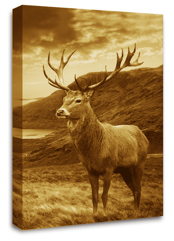 Highland Stag Wall Art Scottish Animal Canvas Picture Print Brown Sepia Large