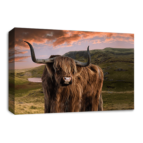 Scottish Highland Cow Wall Art Print Brown Grey Stag Animal Canvas Picture