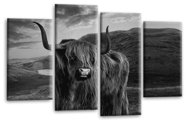 Scottish Highland Cow Wall Art Print Grey White Stag Animal Deer Framed Split Canvas Picture
