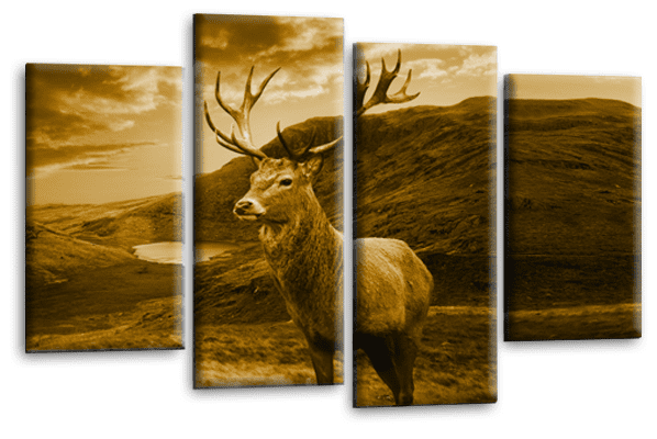 Scottish Highland Stag Wall Art Print Brown Cream Animal Deer Framed Split Canvas Picture