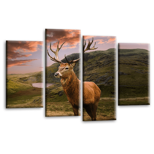Scottish Highland Stag Wall Art Print Teal Black Grey White Animal Deer Canvas Split Picture