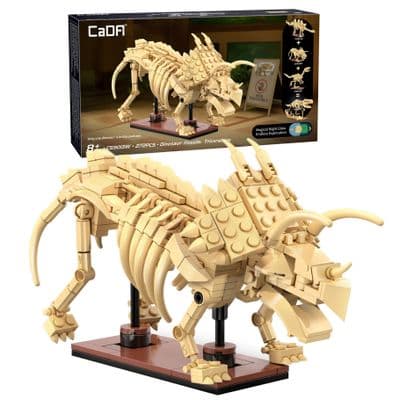 CaDA Dinosaur Fossils: Triceratops
