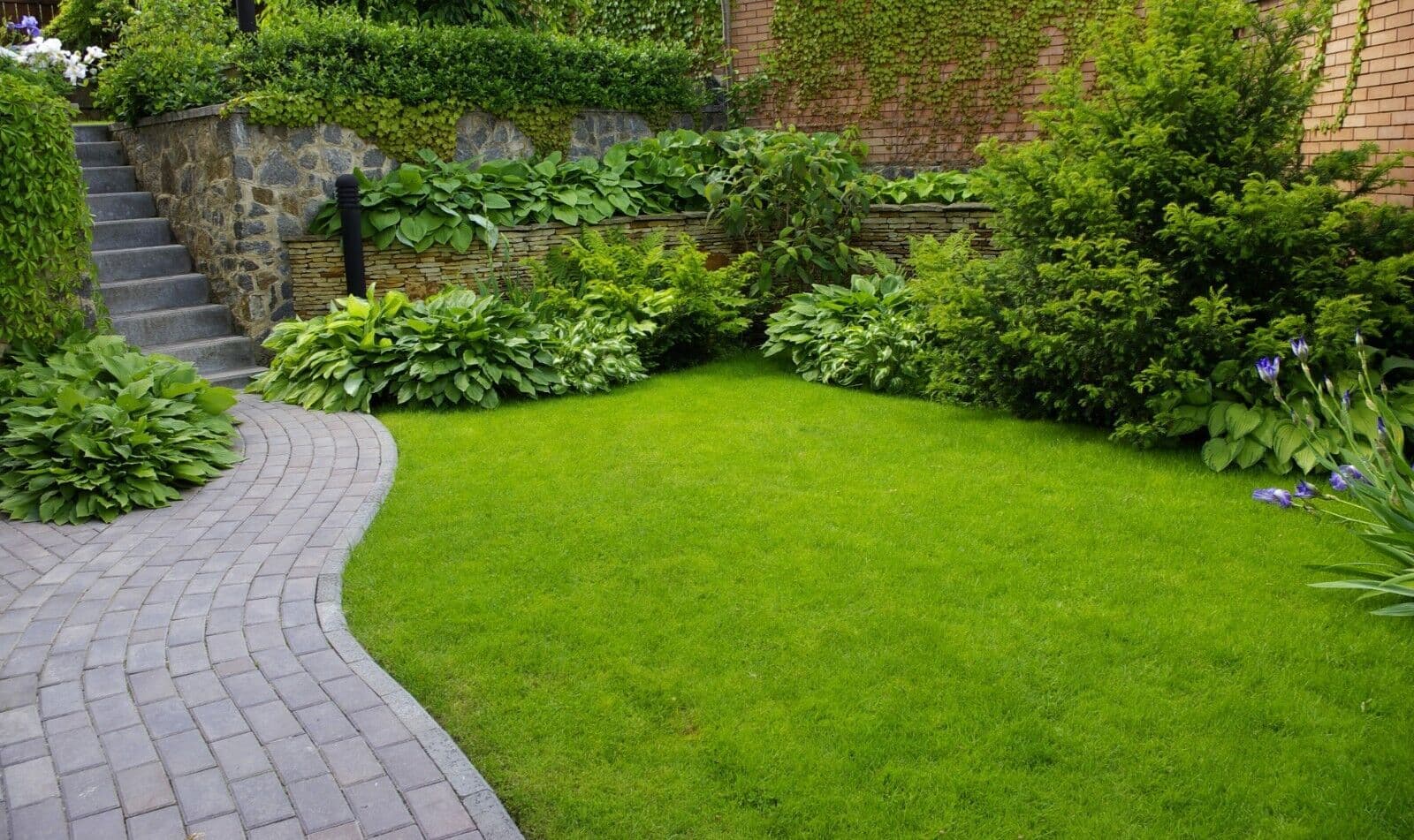 5KG Calcium and Seaweed Granular Soil Enhancer - Soil Conditioner and ...