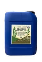Organic Bio-stimulant Seaweed