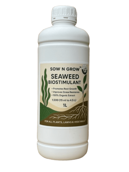 Organic Bio-stimulant Seaweed