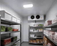 15W LED Bulkhead Light IP65 Waterproof Fireproof Outdoor Wall Ceiling Lamp – Cool White