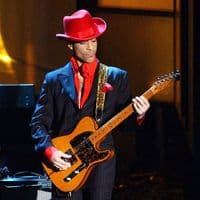 Prince Guitar Miniature Replica | Handmade Music Gifts