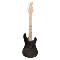 Roger Waters Guitar Miniature Replica | Pink Floyd | Display Box | Mini Stand | Name Plate